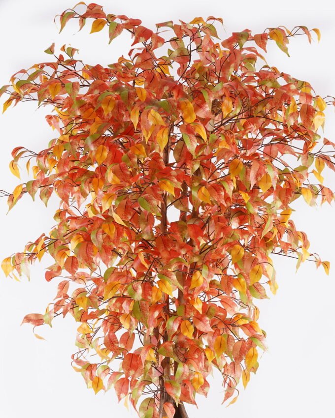 Artificial Tree Banyan in PP pot 1512 lvs Real tree trunk GS-30625011_6 Artificial Tree 85*85*180cm Banyan in PP pot/1512 lvs/Real tree trunk GS-30625011 2025Nov YeahFlower is one of Chinese leading OEM manufacturers and exporters , supplying the silk flowers, wholesale artificial trees