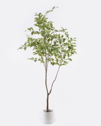 Artificial Tree 85*85*170cm Banyan in PP pot/515 lvs GS-30625007 2025Nov YeahFlower is one of Chinese leading OEM manufacturers and exporters , supplying the silk flowers, wholesale artificial trees