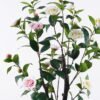 Artificial Tree 45*45*120cm Camellia tree in pp pot GS-46725050-W1 2025Nov YeahFlower is one of Chinese leading OEM manufacturers and exporters , supplying the silk flowers, wholesale artificial trees