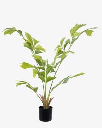 Artificial Tree 65*50*90cm Caryota ochlandra  in PP pot GS-76725002 2026Feb YeahFlower is one of Chinese leading OEM manufacturers and exporters , supplying the silk flowers, wholesale artificial trees