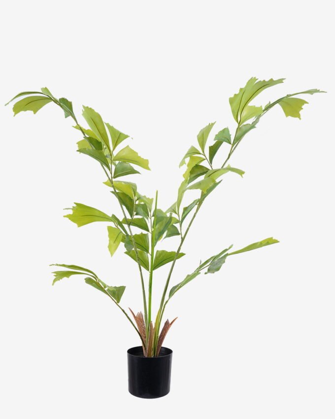 Artificial Tree 65*50*90cm Caryota ochlandra  in PP pot GS-76725002 2026Feb YeahFlower is one of Chinese leading OEM manufacturers and exporters , supplying the silk flowers, wholesale artificial trees