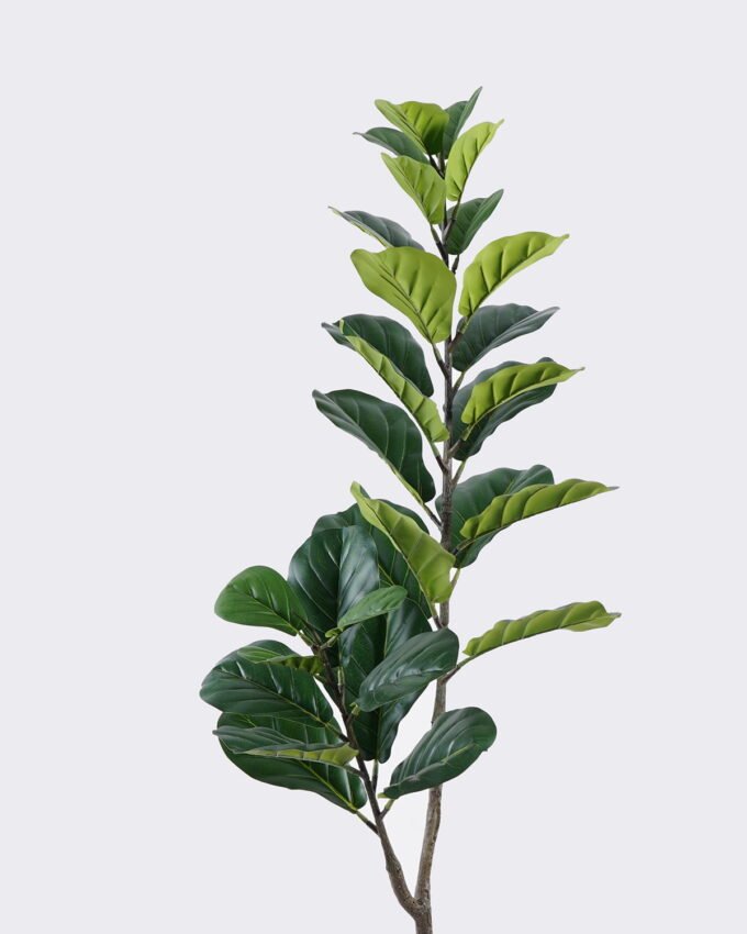 Artificial Tree Ficus lyrata 30 lvs in PP pot GS-30625014KD_9 Artificial Tree 60*39*150cm Ficus lyrata/30 lvs in PP pot GS-30625014KD 2025Nov YeahFlower is one of Chinese leading OEM manufacturers and exporters , supplying the silk flowers, wholesale artificial trees