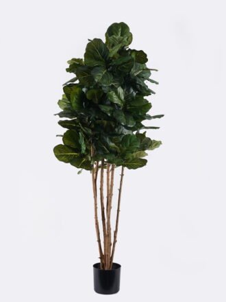 Artificial Tree 68*68*180cm  Ficus pandurata *6 in PP pot/225 lvs GS-30624017 2025Nov 3,000+ sqm showroom with thousands of artificial flowers, plants & trees ready for global sourcing.