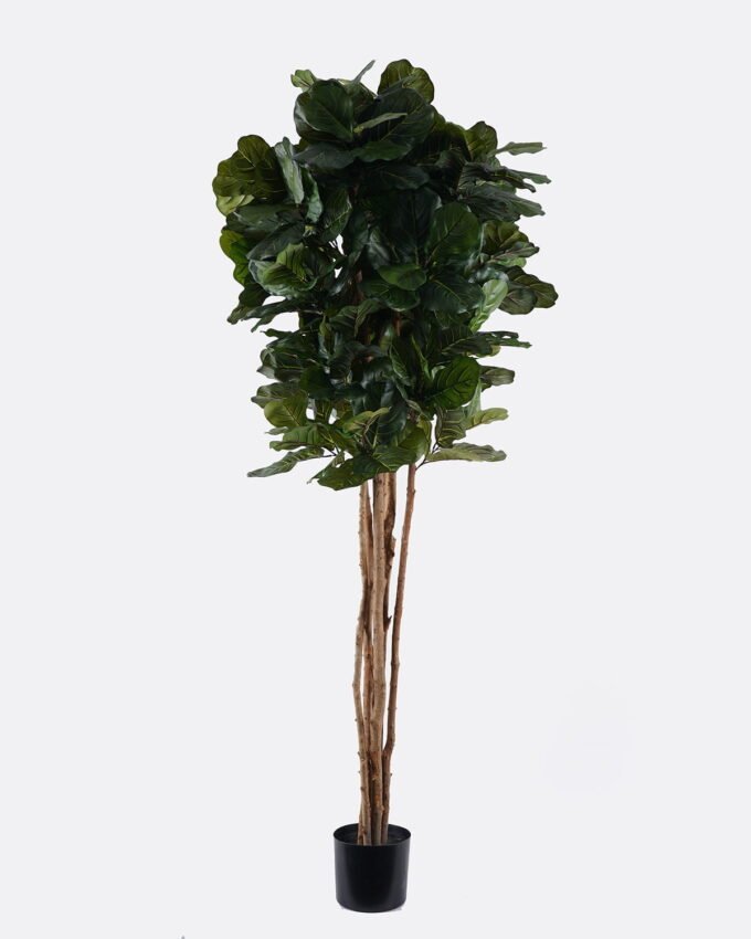 Artificial Tree 68*68*180cm  Ficus pandurata *6 in PP pot/225 lvs GS-30624017 2025Nov YeahFlower is one of Chinese leading OEM manufacturers and exporters , supplying the silk flowers, wholesale artificial trees