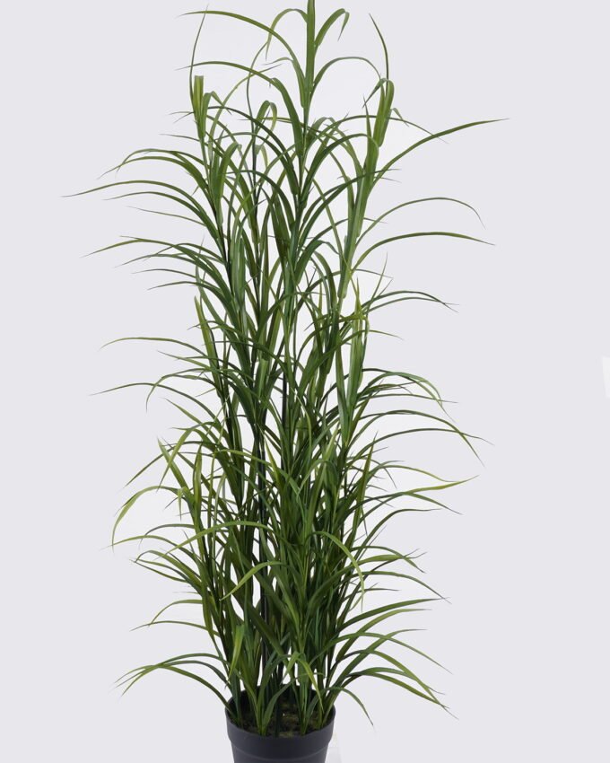 Artificial Tree 40*40*120cm Grass in PP pot GS-02225025 2025SEP YeahFlower is one of Chinese leading OEM manufacturers and exporters , supplying the silk flowers, wholesale artificial trees