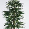 Artificial Tree 70*70*150cm Mango Tree in PP pot/756 lvs/Real tree trunk GS-30625008 2025Nov YeahFlower is one of Chinese leading OEM manufacturers and exporters , supplying the silk flowers, wholesale artificial trees