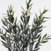 Artificial Tree 35*35*90cm Olive Tree in PP pot GS-02225022 2025SEP YeahFlower is one of Chinese leading OEM manufacturers and exporters , supplying the silk flowers, wholesale artificial trees