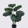 Artificial Tree 46*46*65cm Palm Tree *5 in PP pot GS-02225023 2025SEP YeahFlower is one of Chinese leading OEM manufacturers and exporters , supplying the silk flowers, wholesale artificial trees