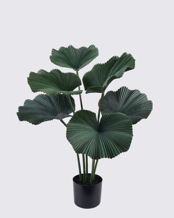 Artificial Tree 46*46*65cm Palm Tree *5 in PP pot GS-02225023 2025SEP YeahFlower is one of Chinese leading OEM manufacturers and exporters , supplying the silk flowers, wholesale artificial trees