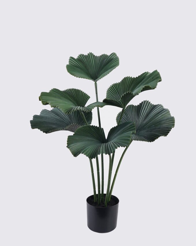 Artificial Tree 60*60*87cm Palm Tree *6 in PP pot GS-02225024 2025SEP YeahFlower is one of Chinese leading OEM manufacturers and exporters , supplying the silk flowers, wholesale artificial trees