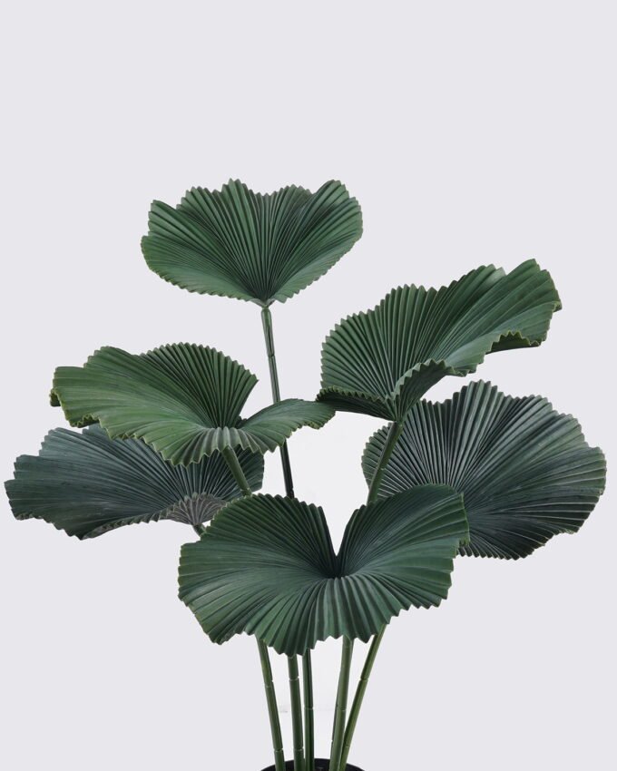 Artificial Tree 60*60*87cm Palm Tree *6 in PP pot GS-02225024 2025SEP YeahFlower is one of Chinese leading OEM manufacturers and exporters , supplying the silk flowers, wholesale artificial trees