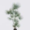 Artificial Tree 50*50*120cm Palm Tree in PP pot GS-02225027 2025SEP YeahFlower is one of Chinese leading OEM manufacturers and exporters , supplying the silk flowers, wholesale artificial trees