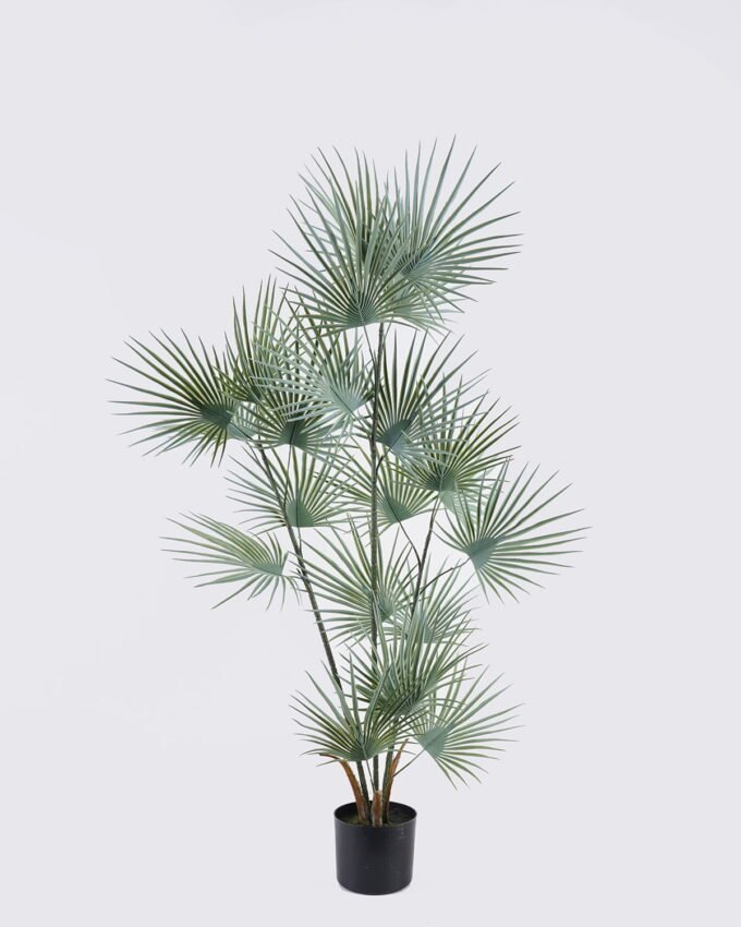Artificial Tree 50*50*120cm Palm Tree in PP pot GS-02225027 2025SEP YeahFlower is one of Chinese leading OEM manufacturers and exporters , supplying the silk flowers, wholesale artificial trees