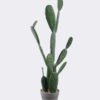 Artificial succulent 39*25*88CM Cactus in pp pot GS-51419023JJA-R 2025Nov YeahFlower is one of Chinese leading OEM manufacturers and exporters , supplying the silk flowers, wholesale artificial trees