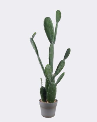 Artificial succulent 39*25*88CM Cactus in pp pot GS-51419023JJA-R 2025Nov YeahFlower is one of Chinese leading OEM manufacturers and exporters , supplying the silk flowers, wholesale artificial trees