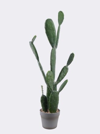 Artificial Flower 16*16*75cm Setaria Viridis single stem/ nature plants GS-50225007-R1 2025Nov 3,000+ sqm showroom with thousands of artificial flowers, plants & trees ready for global sourcing.