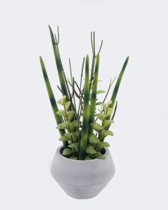 Artificial succulent 16*16*35cm Desert Plant in Cement pot GS-02225004 2025SEP YeahFlower is one of Chinese leading OEM manufacturers and exporters , supplying the silk flowers, wholesale artificial trees Artificial succulent 16*16*35cm Desert Plant in Cement pot GS-02225004 2025SEP YeahFlower is one of Chinese leading OEM manufacturers and exporters , supplying the silk flowers, wholesale artificial trees
