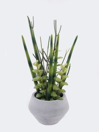 Artificial succulent 33*33*60cm Desert Plant in PP pot GS-02225005 2025SEP 3,000+ sqm showroom with thousands of artificial flowers, plants & trees ready for global sourcing.
