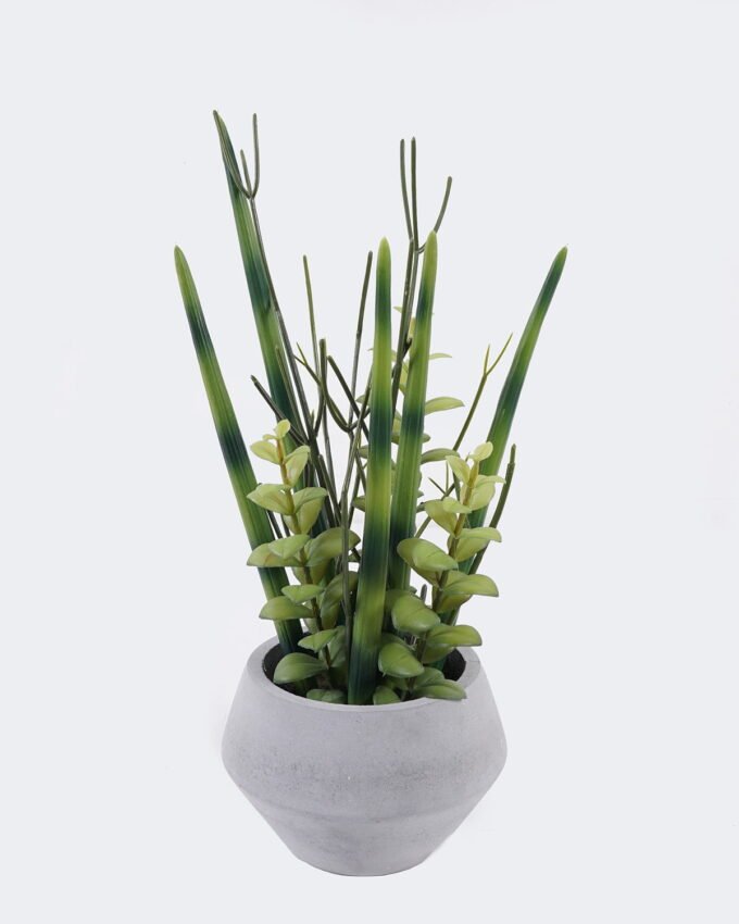 Artificial succulent 16*16*35cm Desert Plant in Cement pot GS-02225004 2025SEP YeahFlower is one of Chinese leading OEM manufacturers and exporters , supplying the silk flowers, wholesale artificial trees