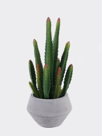 Artificial succulent 20*20*30cm Grass in Cement pot GS-02225011 2025SEP 3,000+ sqm showroom with thousands of artificial flowers, plants & trees ready for global sourcing.