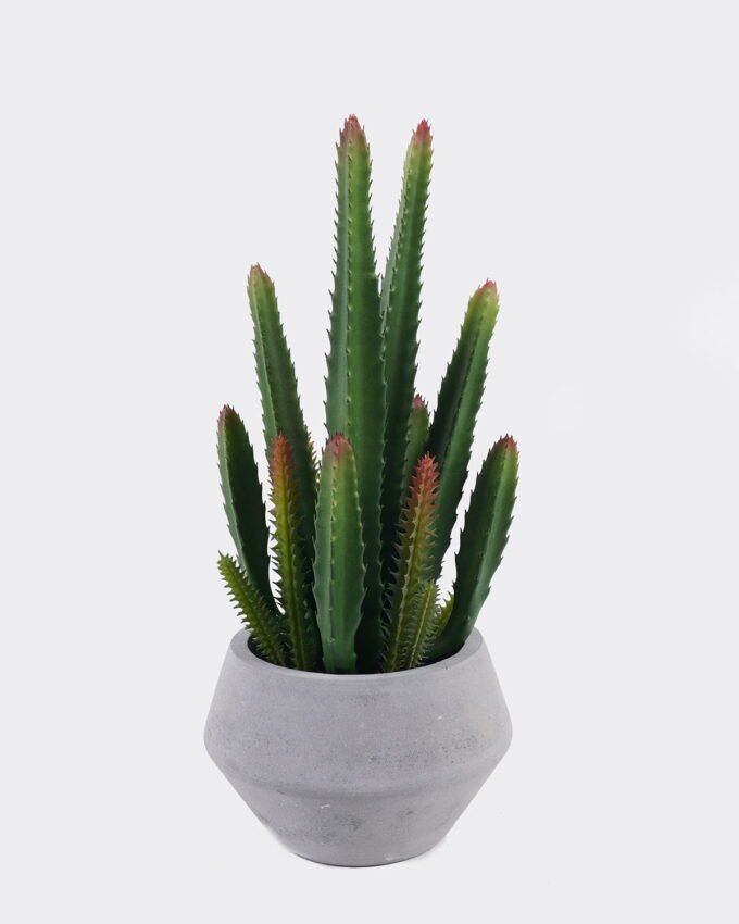 Artificial succulent 12*12*32cm Desert Plant in Cement pot GS-02225010 2025SEP YeahFlower is one of Chinese leading OEM manufacturers and exporters , supplying the silk flowers, wholesale artificial trees