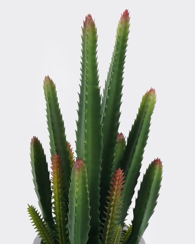 Artificial succulent 12*12*32cm Desert Plant in Cement pot GS-02225010 2025SEP YeahFlower is one of Chinese leading OEM manufacturers and exporters , supplying the silk flowers, wholesale artificial trees