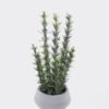 Artificial succulent Desert Plant in Cement pot GS-02225012_4 Artificial succulent 16*16*36cm Desert Plant in Cement pot GS-02225012 2025SEP YeahFlower is one of Chinese leading OEM manufacturers and exporters , supplying the silk flowers, wholesale artificial trees