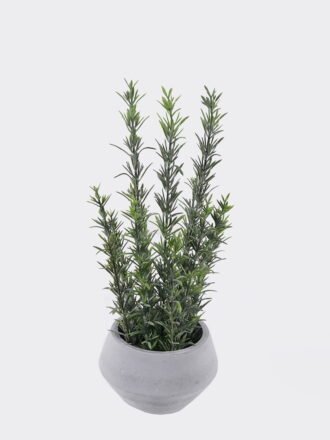 Artificial succulent 20*20*30cm Grass in Cement pot GS-02225011 2025SEP 3,000+ sqm showroom with thousands of artificial flowers, plants & trees ready for global sourcing.