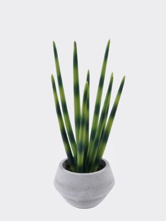 Artificial succulent 21*21*35cm Desert Plant in Cement pot GS-02225014 2025SEP 3,000+ sqm showroom with thousands of artificial flowers, plants & trees ready for global sourcing.
