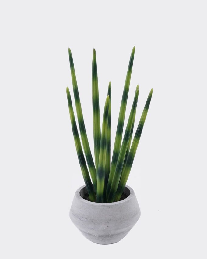 Artificial succulent 13*13*35cm Desert Plant in Cement pot GS-02225013 2025SEP YeahFlower is one of Chinese leading OEM manufacturers and exporters , supplying the silk flowers, wholesale artificial trees