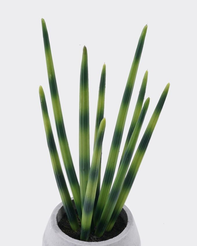 Artificial succulent 13*13*35cm Desert Plant in Cement pot GS-02225013 2025SEP YeahFlower is one of Chinese leading OEM manufacturers and exporters , supplying the silk flowers, wholesale artificial trees