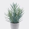 Artificial succulent 21*21*35cm Desert Plant in Cement pot GS-02225014 2025SEP YeahFlower is one of Chinese leading OEM manufacturers and exporters , supplying the silk flowers, wholesale artificial trees