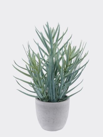 Artificial succulent 16*16*29cm Desert Plant in Cement pot GS-02225015 2025SEP 3,000+ sqm showroom with thousands of artificial flowers, plants & trees ready for global sourcing.