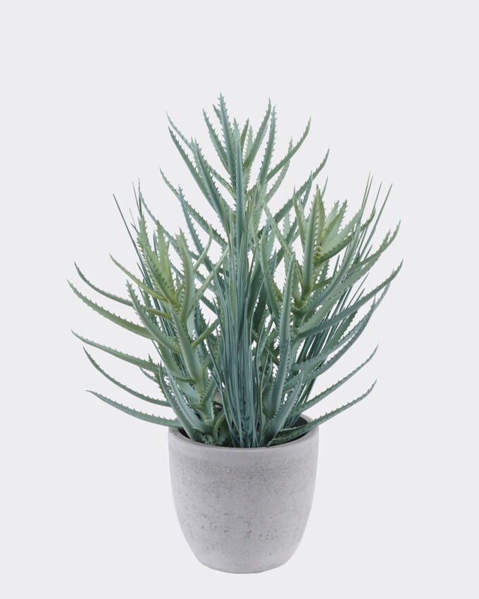 Artificial succulent 21*21*35cm Desert Plant in Cement pot GS-02225014 2025SEP YeahFlower is one of Chinese leading OEM manufacturers and exporters , supplying the silk flowers, wholesale artificial trees