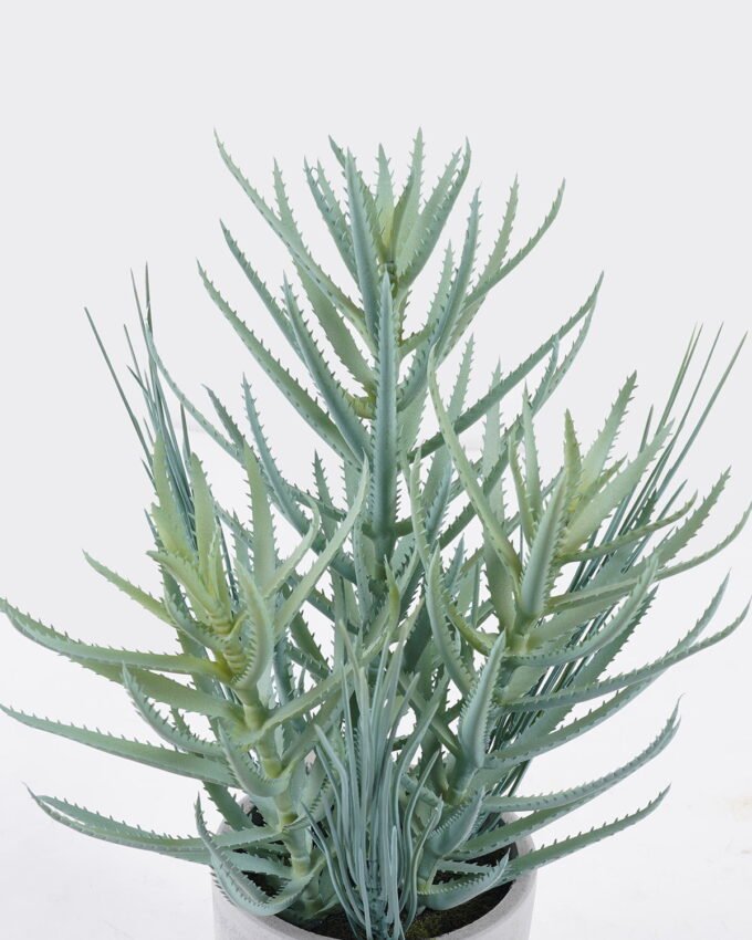 Artificial succulent 21*21*35cm Desert Plant in Cement pot GS-02225014 2025SEP YeahFlower is one of Chinese leading OEM manufacturers and exporters , supplying the silk flowers, wholesale artificial trees