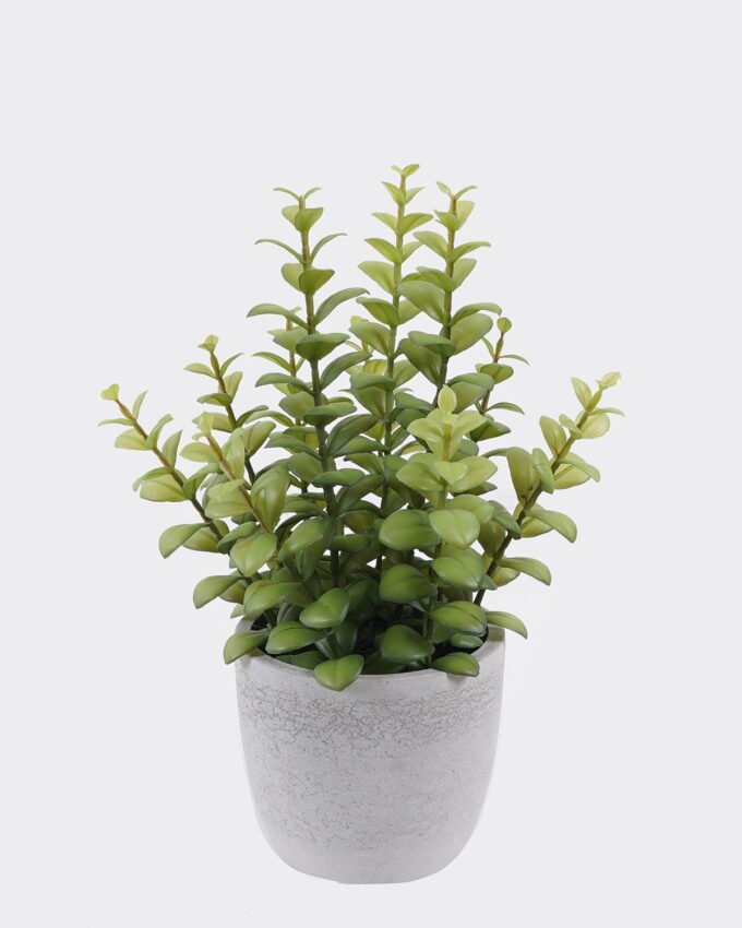 Artificial succulent 16*16*29cm Desert Plant in Cement pot GS-02225015 2025SEP YeahFlower is one of Chinese leading OEM manufacturers and exporters , supplying the silk flowers, wholesale artificial trees