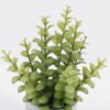 Artificial succulent 16*16*29cm Desert Plant in Cement pot GS-02225015 2025SEP YeahFlower is one of Chinese leading OEM manufacturers and exporters , supplying the silk flowers, wholesale artificial trees