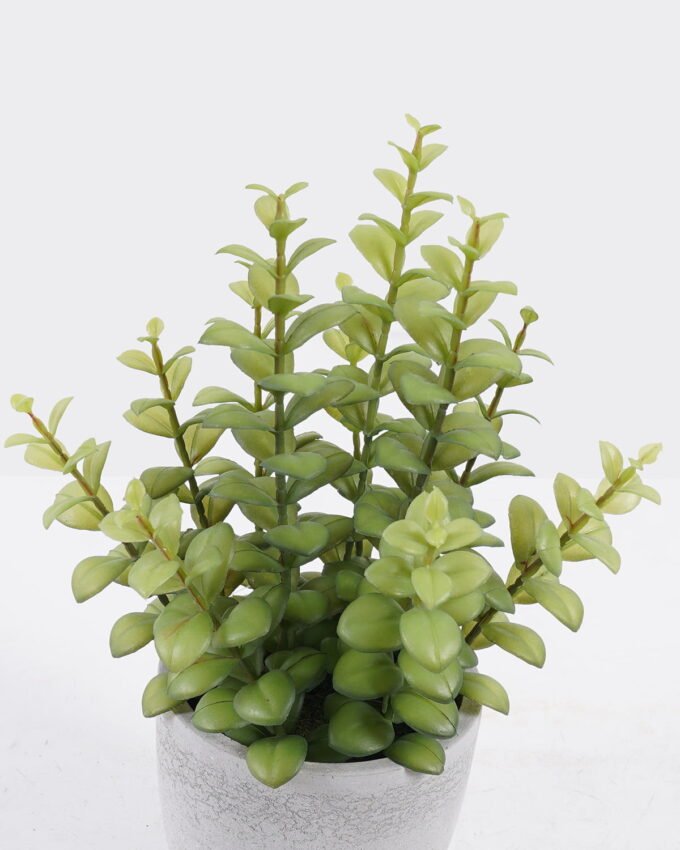 Artificial succulent 16*16*29cm Desert Plant in Cement pot GS-02225015 2025SEP YeahFlower is one of Chinese leading OEM manufacturers and exporters , supplying the silk flowers, wholesale artificial trees