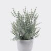 Artificial succulent 22*22*32cm Desert Plant in Cement pot GS-02225016 2025SEP YeahFlower is one of Chinese leading OEM manufacturers and exporters , supplying the silk flowers, wholesale artificial trees