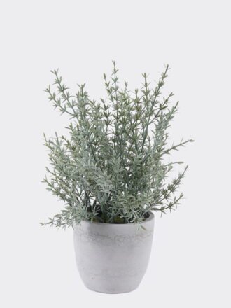 Artificial succulent 16*16*29cm Desert Plant in Cement pot GS-02225015 2025SEP 3,000+ sqm showroom with thousands of artificial flowers, plants & trees ready for global sourcing.