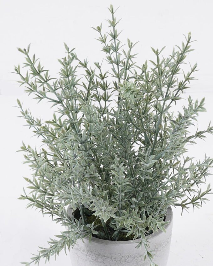 Artificial succulent 22*22*32cm Desert Plant in Cement pot GS-02225016 2025SEP YeahFlower is one of Chinese leading OEM manufacturers and exporters , supplying the silk flowers, wholesale artificial trees