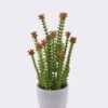 Artificial succulent Desert Plant in Cement pot GS-02225019_4 Artificial succulent 17*17*36cm Desert Plant in Cement pot GS-02225019 2025SEP YeahFlower is one of Chinese leading OEM manufacturers and exporters , supplying the silk flowers, wholesale artificial trees