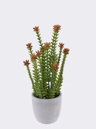 Artificial succulent 36*36*43cm Desert Plant in Cement pot GS-02225018 2025SEP 3,000+ sqm showroom with thousands of artificial flowers, plants & trees ready for global sourcing.