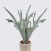 Artificial succulent 13*13*40cm Desert Plant in Cement pot GS-02225036 2025SEP YeahFlower is one of Chinese leading OEM manufacturers and exporters , supplying the silk flowers, wholesale artificial trees