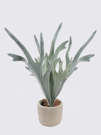 Artificial succulent 15*15*40cm Desert Plant in Cement pot GS-02225037 2025SEP 3,000+ sqm showroom with thousands of artificial flowers, plants & trees ready for global sourcing.