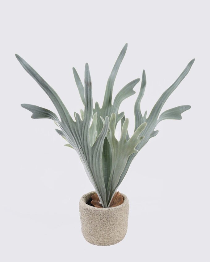 Artificial succulent 13*13*40cm Desert Plant in Cement pot GS-02225036 2025SEP YeahFlower is one of Chinese leading OEM manufacturers and exporters , supplying the silk flowers, wholesale artificial trees