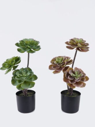 Artificial succulent 24*24*45cm Desert Plant in PP pot GS-02225002 2025SEP 3,000+ sqm showroom with thousands of artificial flowers, plants & trees ready for global sourcing.