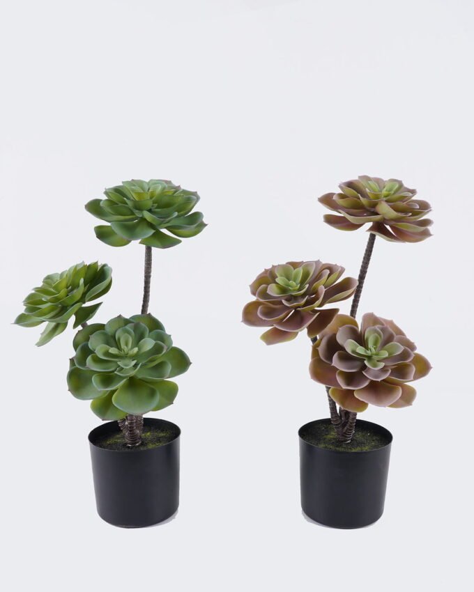 Artificial succulent 22*22*45cm Desert Plant in PP pot GS-02225001 2025SEP YeahFlower is one of Chinese leading OEM manufacturers and exporters , supplying the silk flowers, wholesale artificial trees