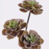 Artificial succulent 22*22*45cm Desert Plant in PP pot GS-02225001 2025SEP YeahFlower is one of Chinese leading OEM manufacturers and exporters , supplying the silk flowers, wholesale artificial trees