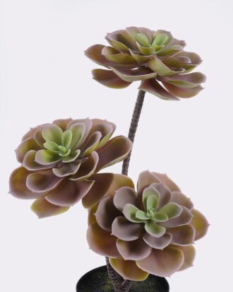 Artificial succulent 22*22*45cm Desert Plant in PP pot GS-02225001 2025SEP YeahFlower is one of Chinese leading OEM manufacturers and exporters , supplying the silk flowers, wholesale artificial trees Artificial succulent 22*22*45cm Desert Plant in PP pot GS-02225001 2025SEP YeahFlower is one of Chinese leading OEM manufacturers and exporters , supplying the silk flowers, wholesale artificial trees